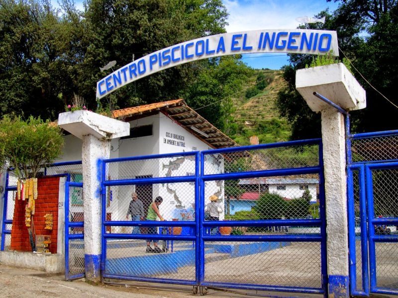 CENTRO PISCÍCOLA EL INGENIO