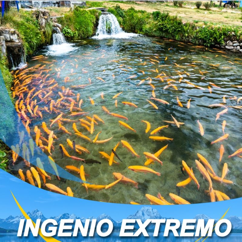 Turismomarin - TOUR INGENIO EXTREMO