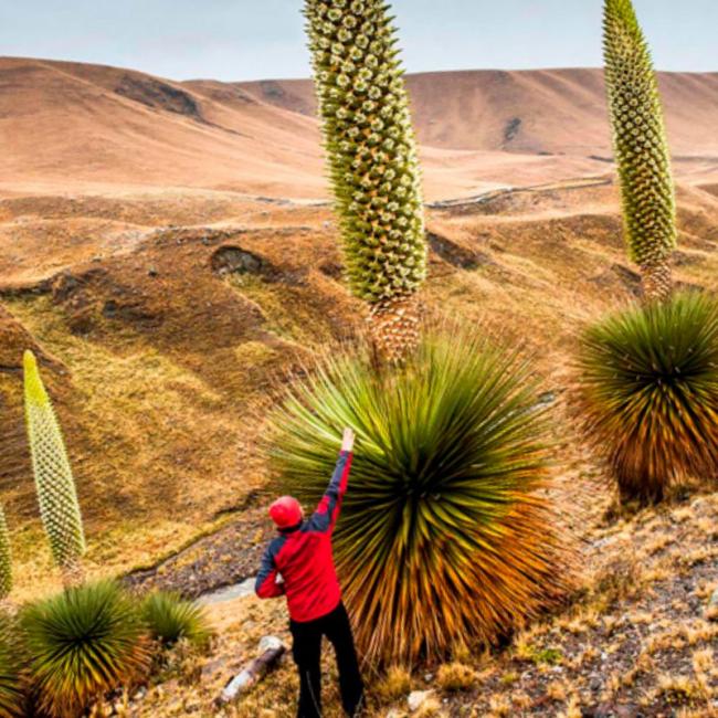 TOUR CAÑON DE SHUTJO