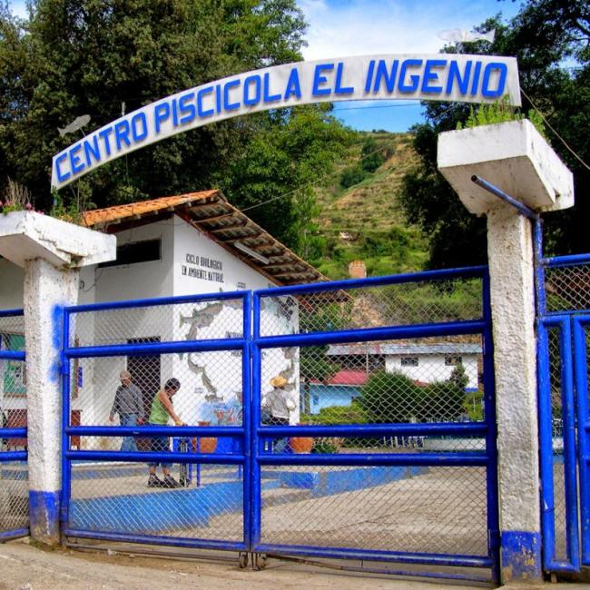 TOUR ARTESANAL