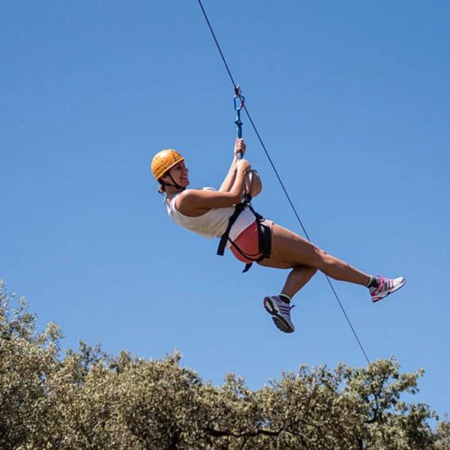 TOUR BOSQUE DORADO
