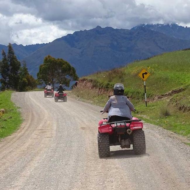 TOUR BOSQUE DORADO